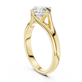 Valeria Round Brilliant Diamond Sculpted Split-Shank Solitaire Ring