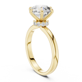 Celestia Round Diamond Hidden Halo Solitaire Ring